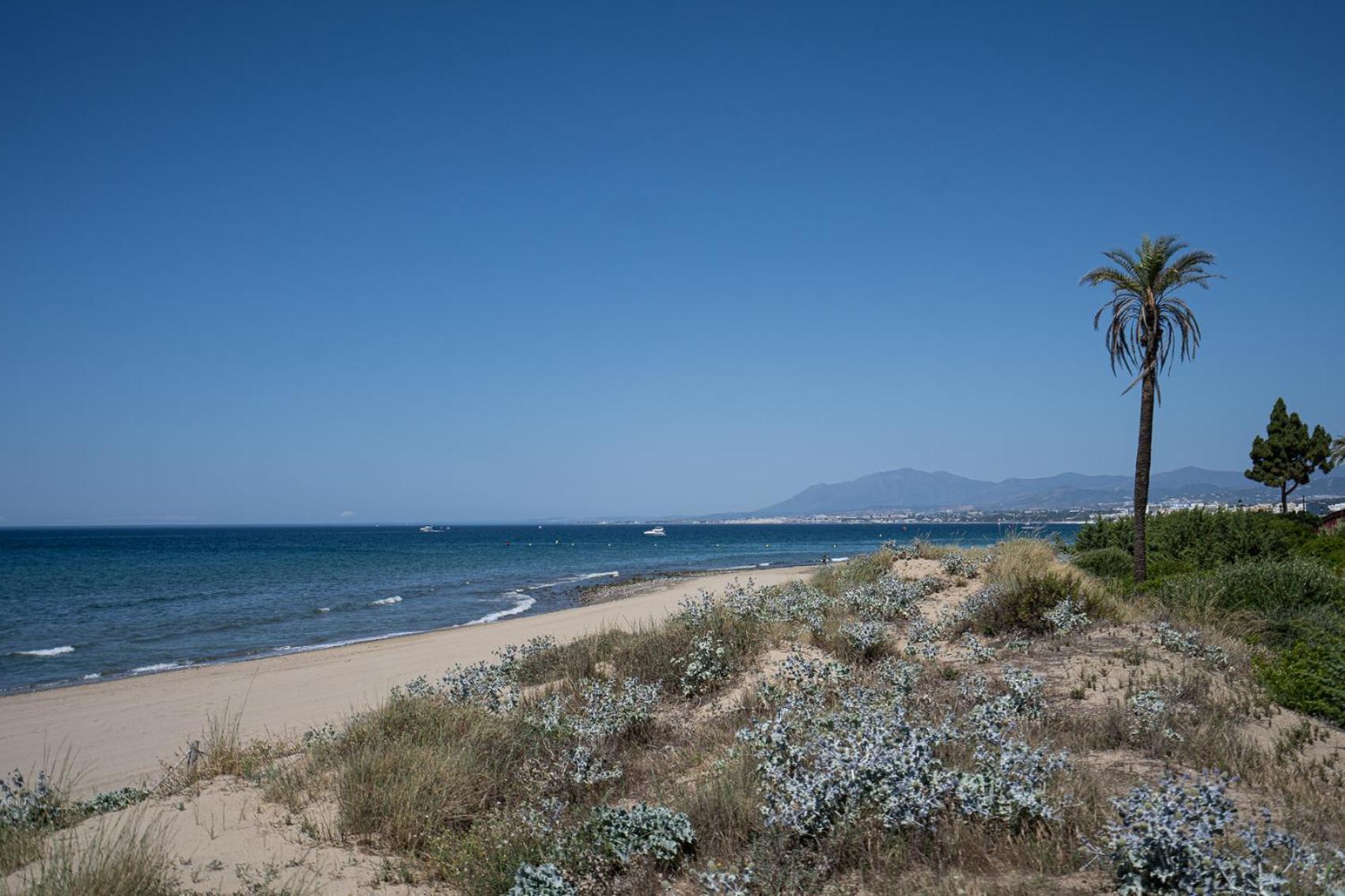 Front-Line Garden Apartment In Palm Beach, Marbella Exterior photo